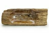 Polished Petrified Wood Dish - Madagascar #378872-3